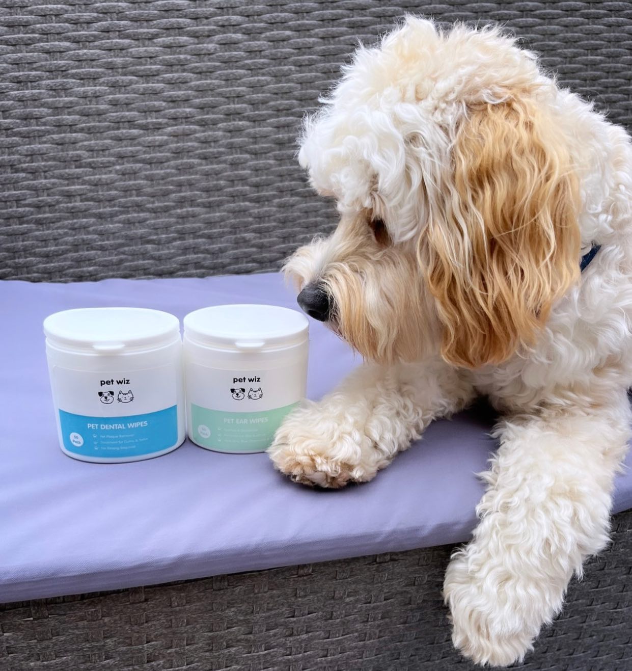 A tub of Ear Wipes for Dogs & Cats, featuring natural ingredients like Aloe Vera and tea tree oil, designed for easy ear cleaning.