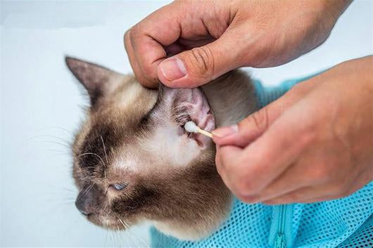 Easy Bath & Trim Cat Bag designed for safe and calm grooming of cats, featuring a colorful and comfortable design.