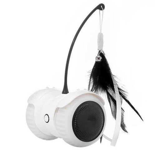 Electric Pet Smart Interactive Cat Toy featuring a luminous remote control car with LED lights and feather toys for cats.