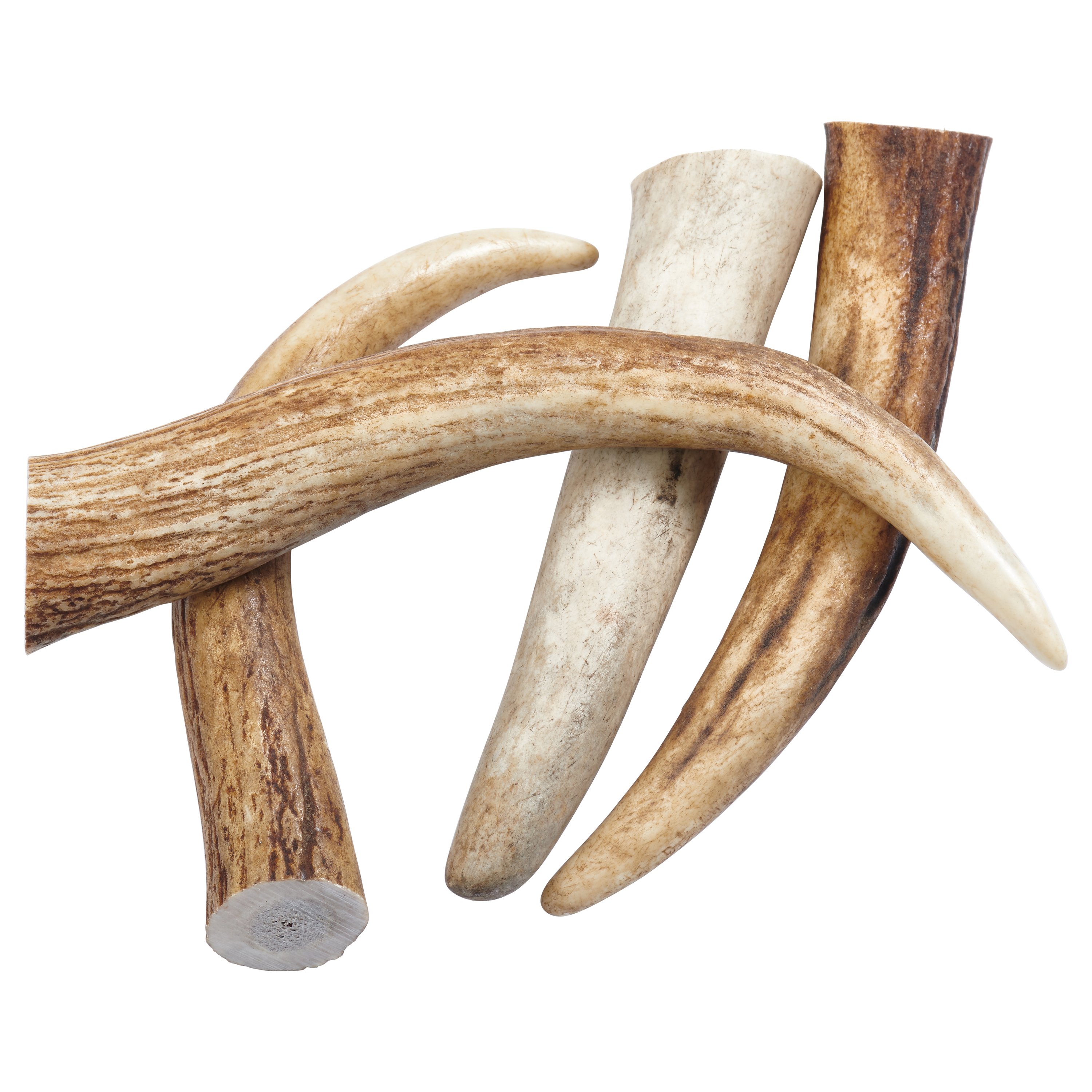A selection of Elk Antler Tips Dog Chews, showcasing their natural texture and varying lengths, perfect for strong chewers.