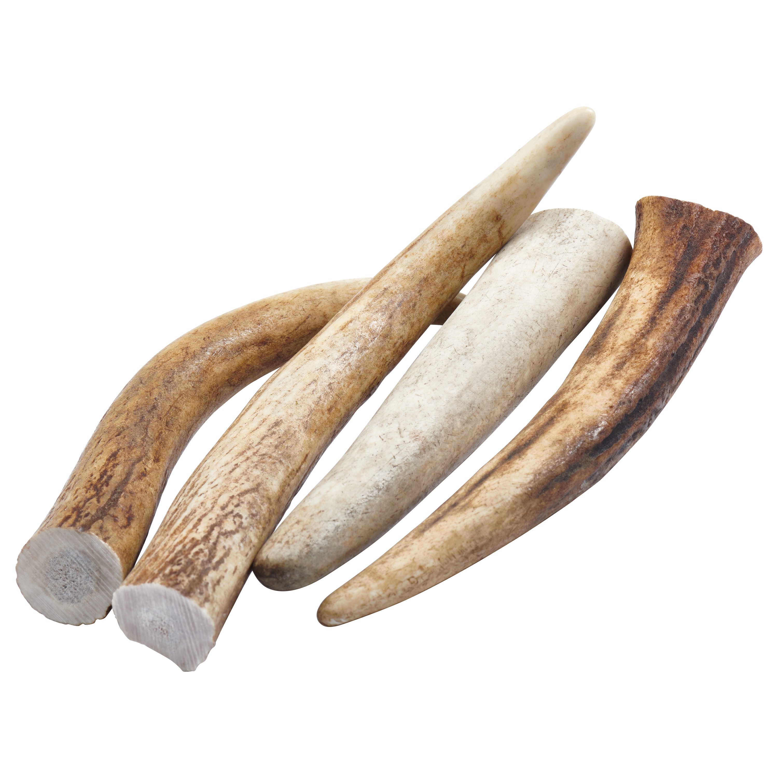 A selection of Elk Antler Tips Dog Chews, showcasing their natural texture and varying lengths, perfect for strong chewers.