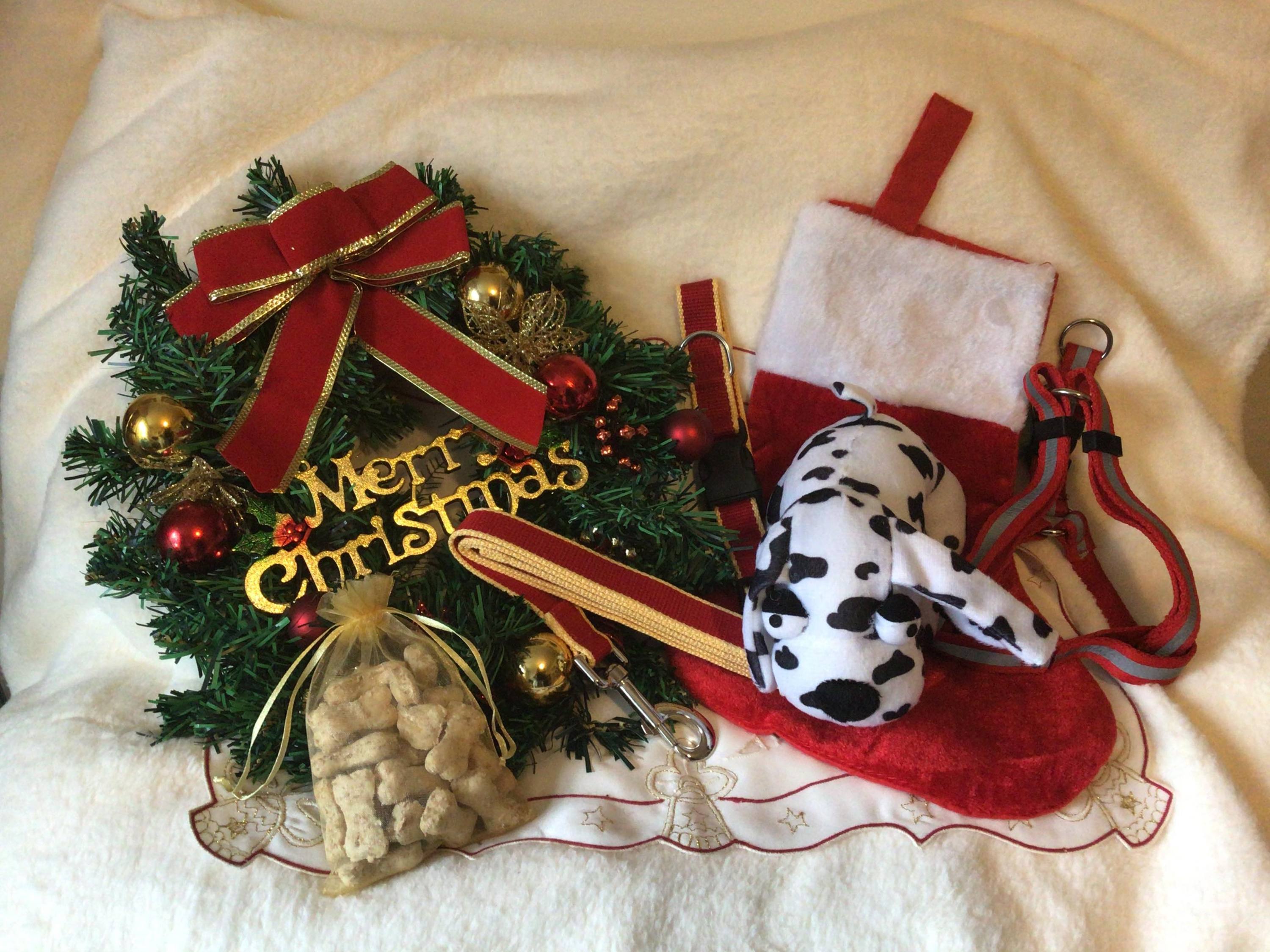 Finnigans Holiday Stocking for pets, featuring a vibrant red design with various gifts including a collar, lead, harness, toy, and treats.