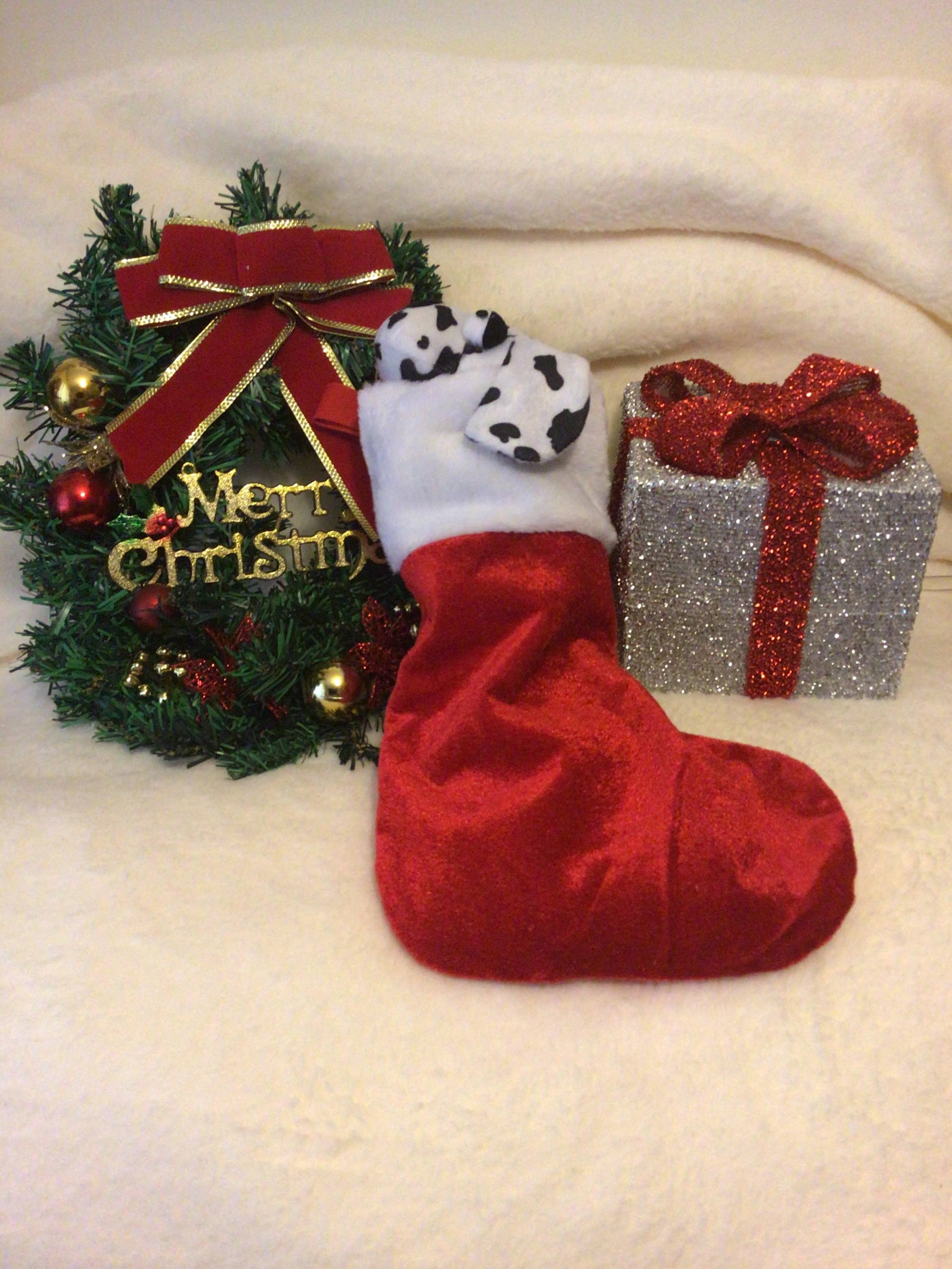 Finnigans Holiday Stocking for pets, featuring a vibrant red design with various gifts including a collar, lead, harness, toy, and treats.
