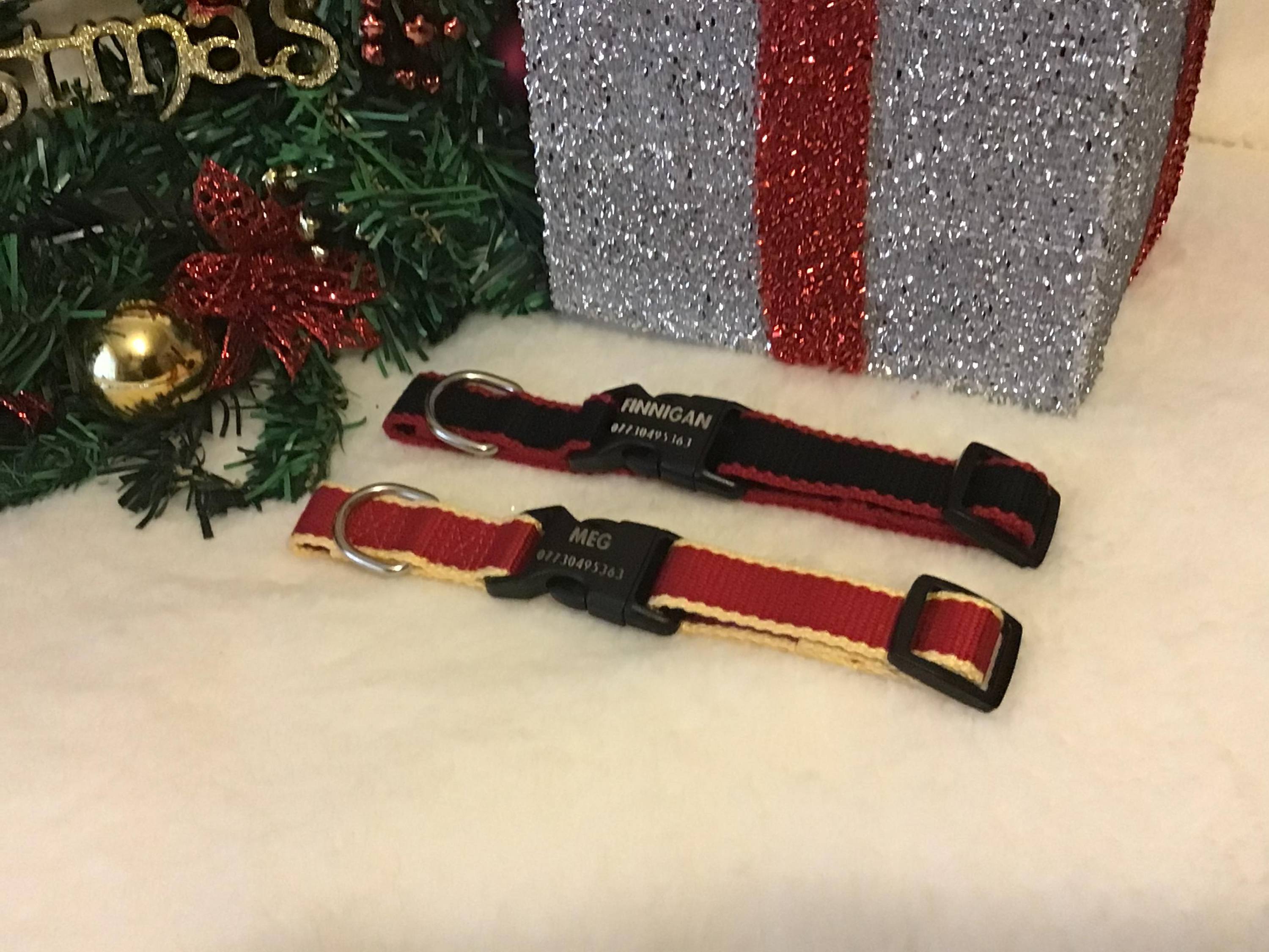 Finnigans Holiday Stocking for pets, featuring a vibrant red design with various gifts including a collar, lead, harness, toy, and treats.