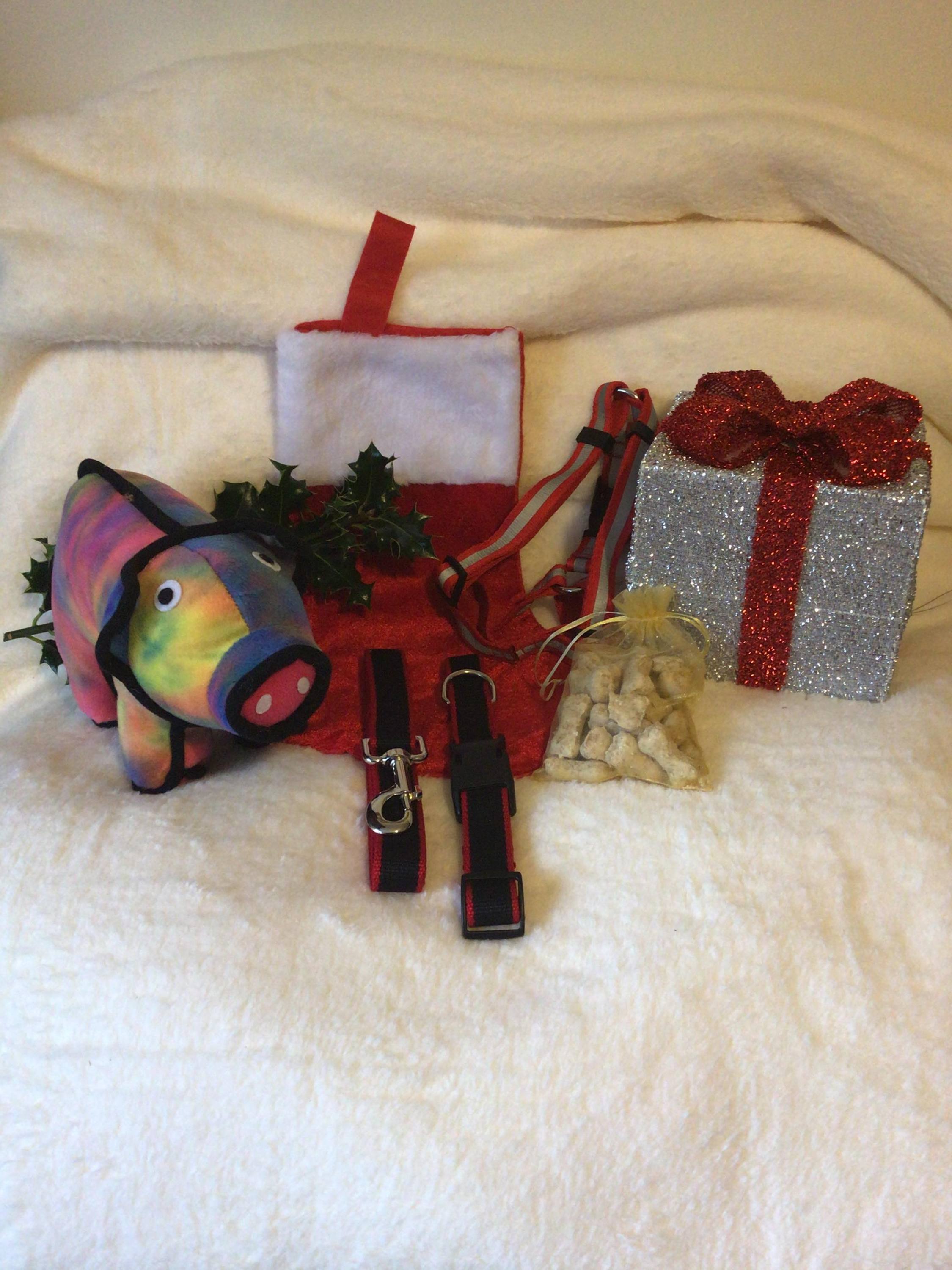 Finnigans Holiday Stocking for pets, featuring a vibrant red design with various gifts including a collar, lead, harness, toy, and treats.