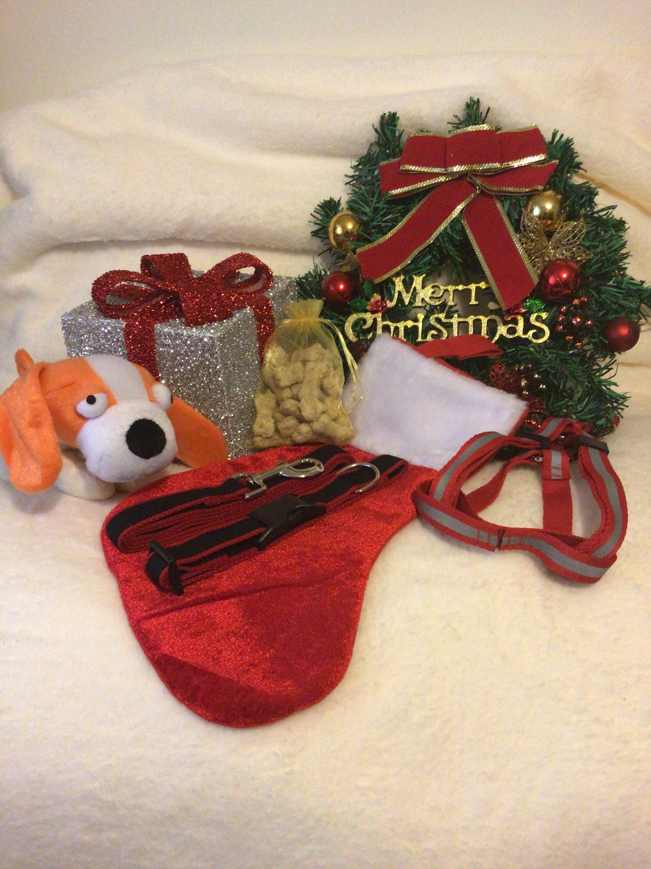 Finnigans Holiday Stocking for pets, featuring a vibrant red design with various gifts including a collar, lead, harness, toy, and treats.