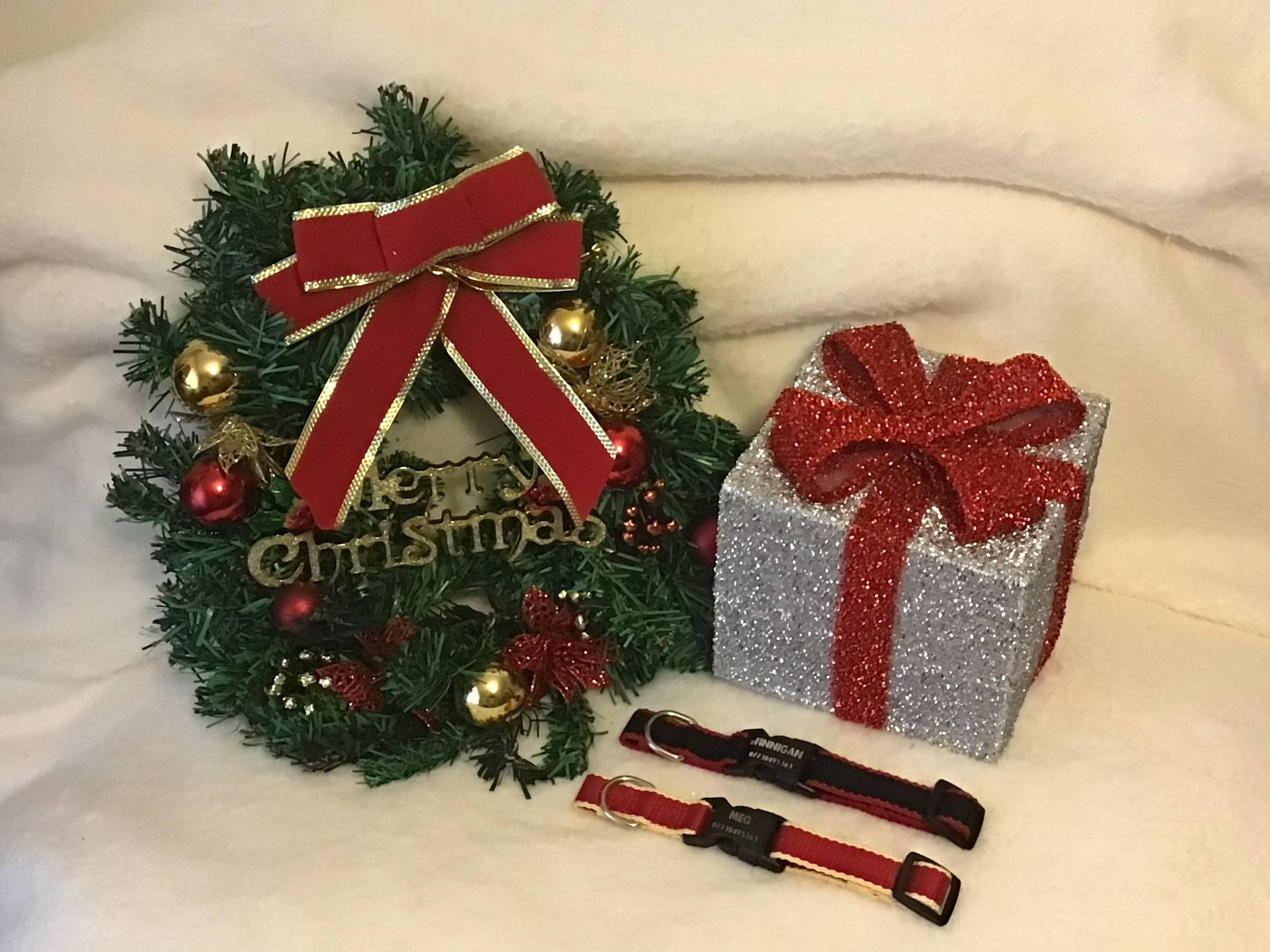 Finnigans Holiday Stocking for pets, featuring a vibrant red design with various gifts including a collar, lead, harness, toy, and treats.