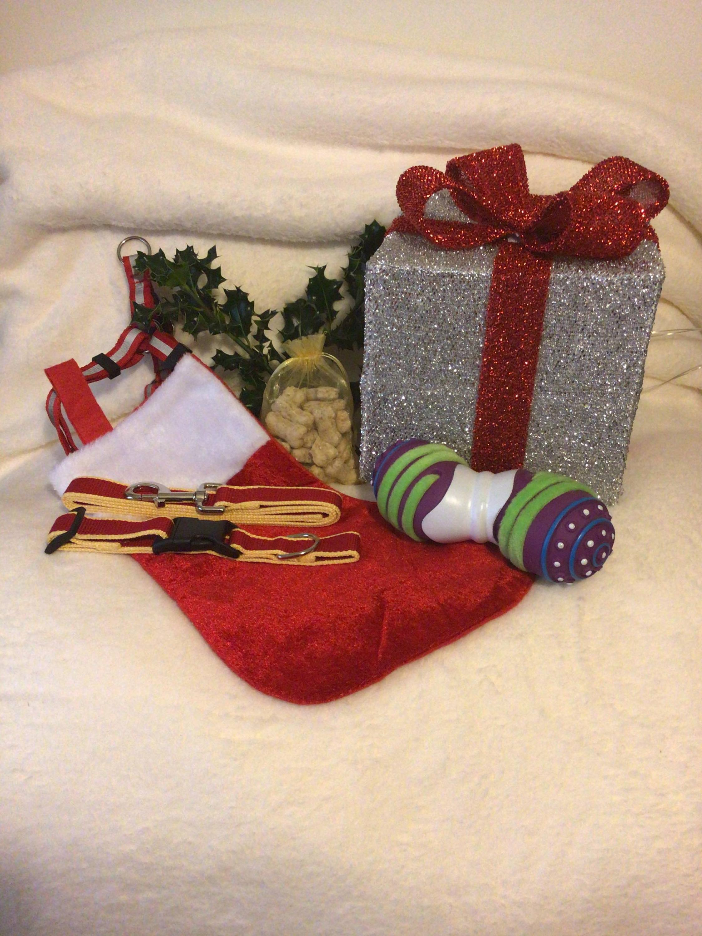 Finnigans Holiday Stocking for pets, featuring a vibrant red design with various gifts including a collar, lead, harness, toy, and treats.