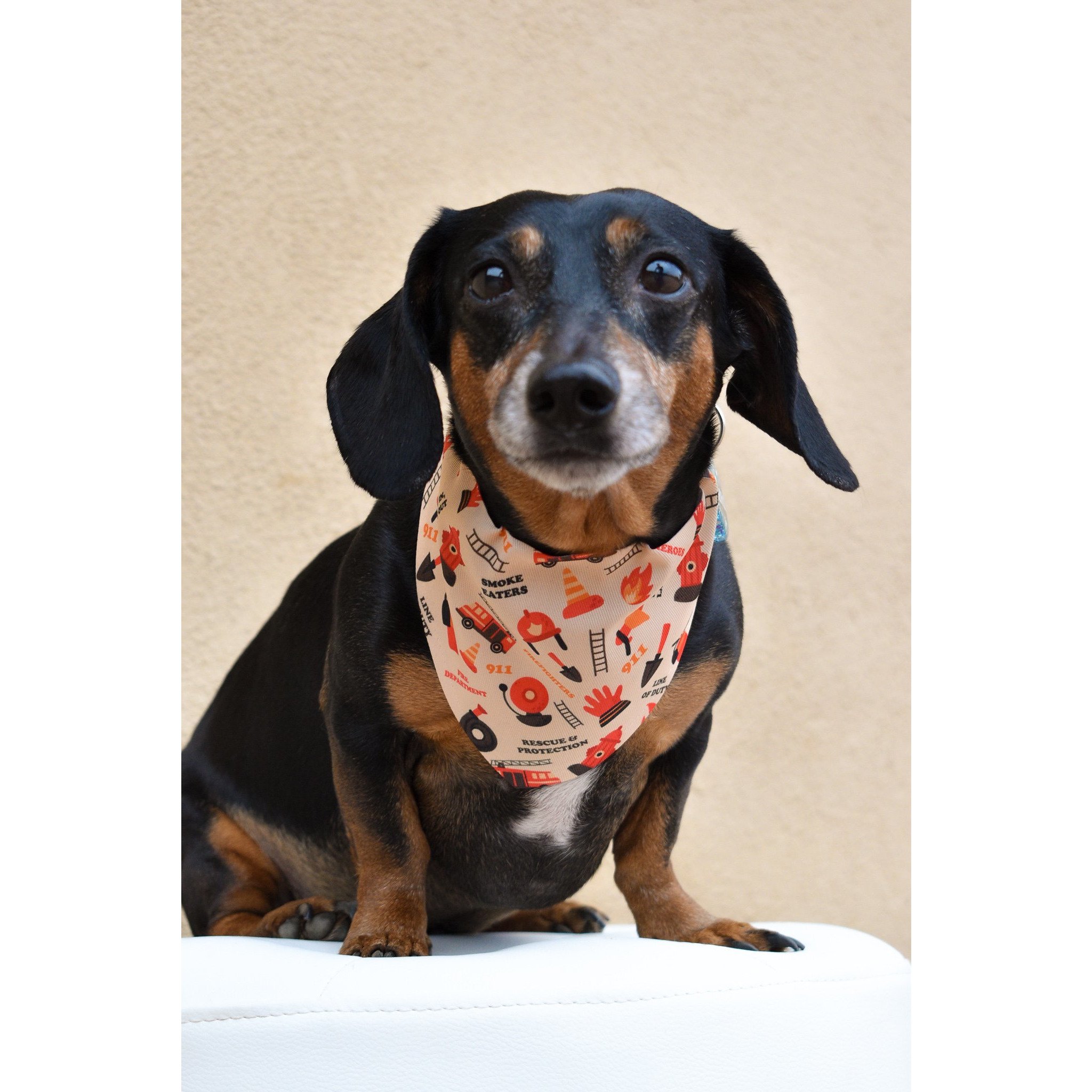 A reversible Fire Dog Bandana for dogs, showcasing a vibrant design that supports firefighters, made from durable canvas fabric.