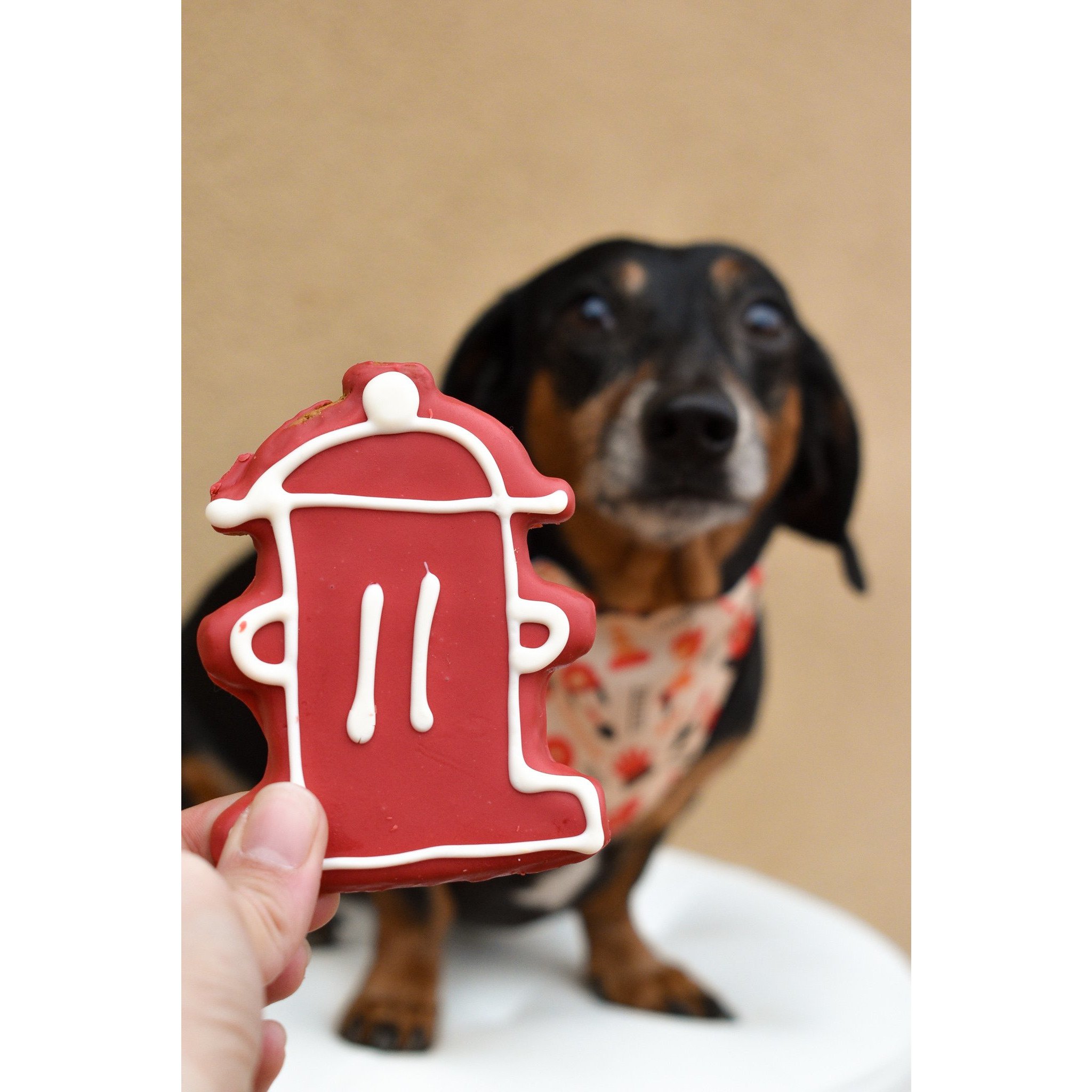 A reversible Fire Dog Bandana for dogs, showcasing a vibrant design that supports firefighters, made from durable canvas fabric.