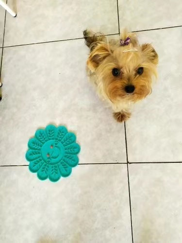 Fish shape silicone bowl designed for slow feeding and mental stimulation for small dogs and cats, featuring a no-slip base and rotating top.