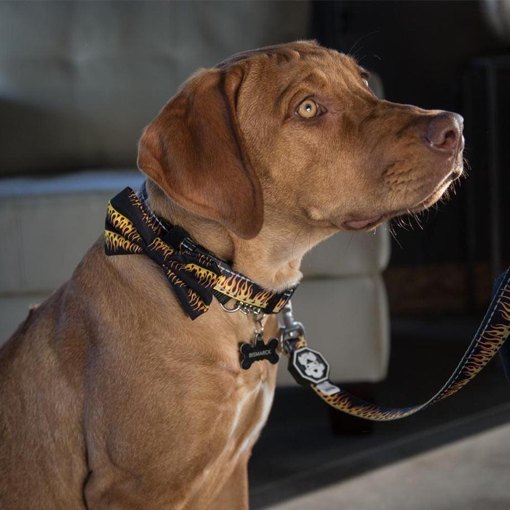 A vibrant Flame Thrower Bowtie for dogs, made of soft polyester, showcasing a stylish design that adds flair to any pet's collar.