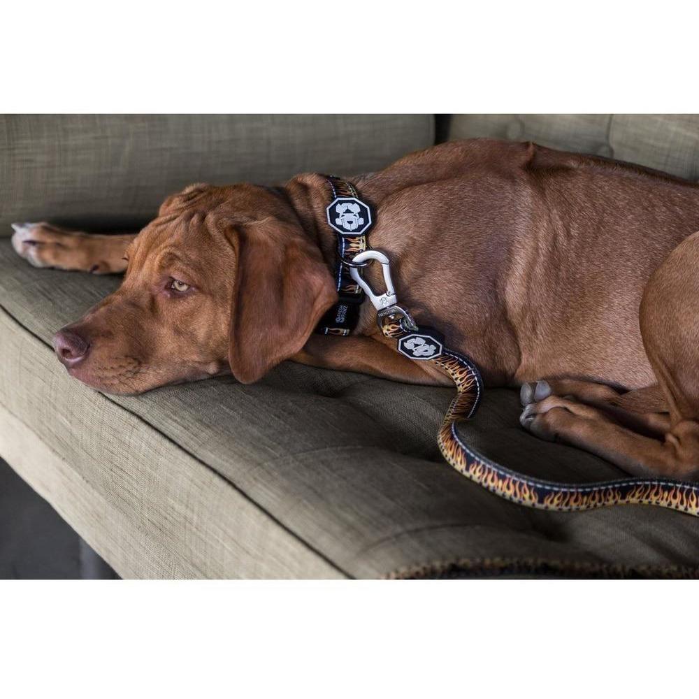 Flame Thrower Leash featuring vibrant pastel colors and a neoprene padded handle for comfort.