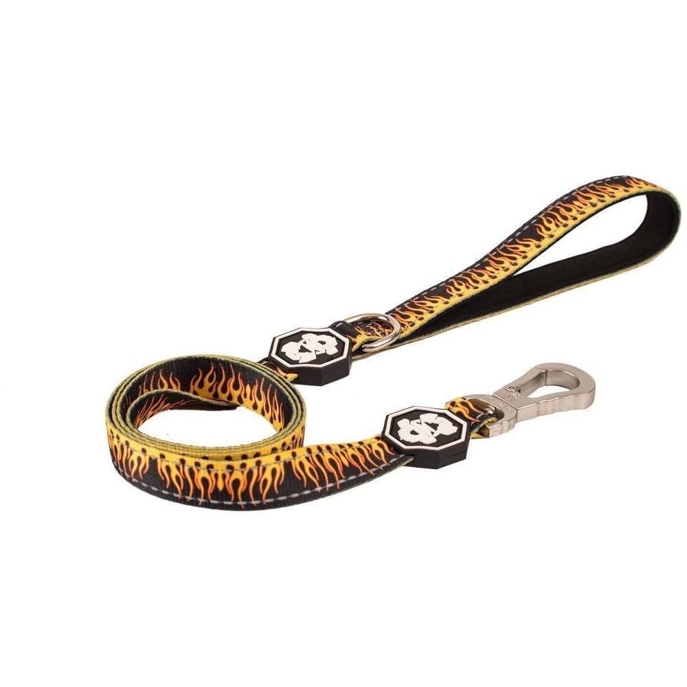 Flame Thrower Leash featuring vibrant pastel colors and a neoprene padded handle for comfort.