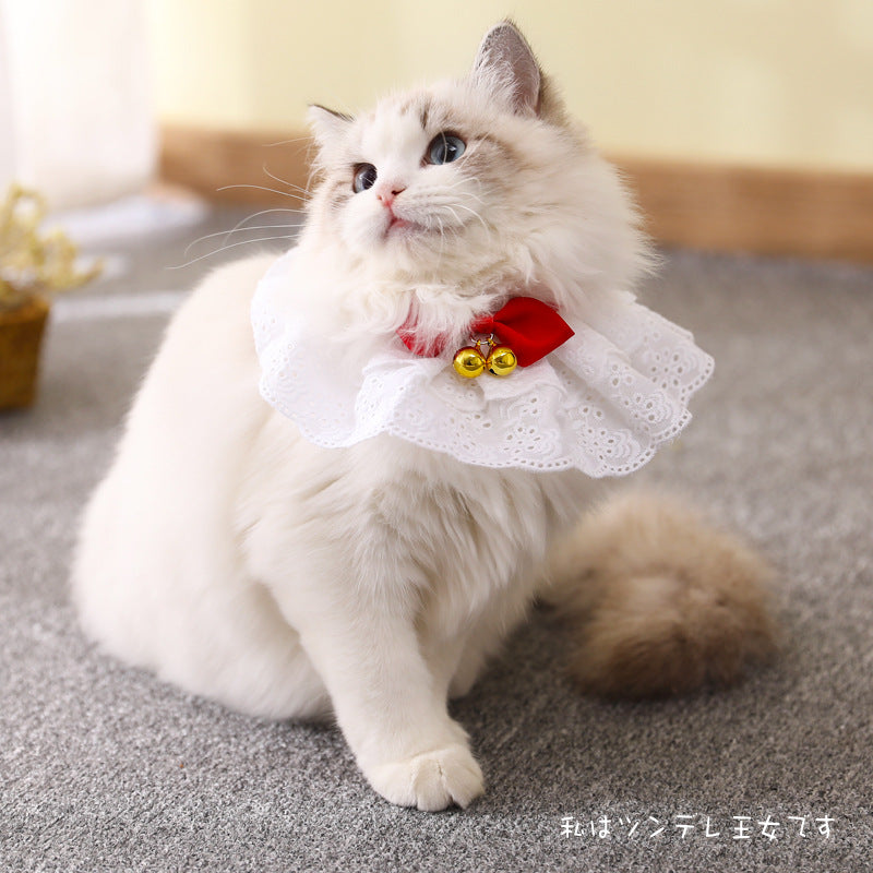 A stylish cat wearing a floral lace bib outfit, showcasing elegance and comfort, perfect for special occasions.