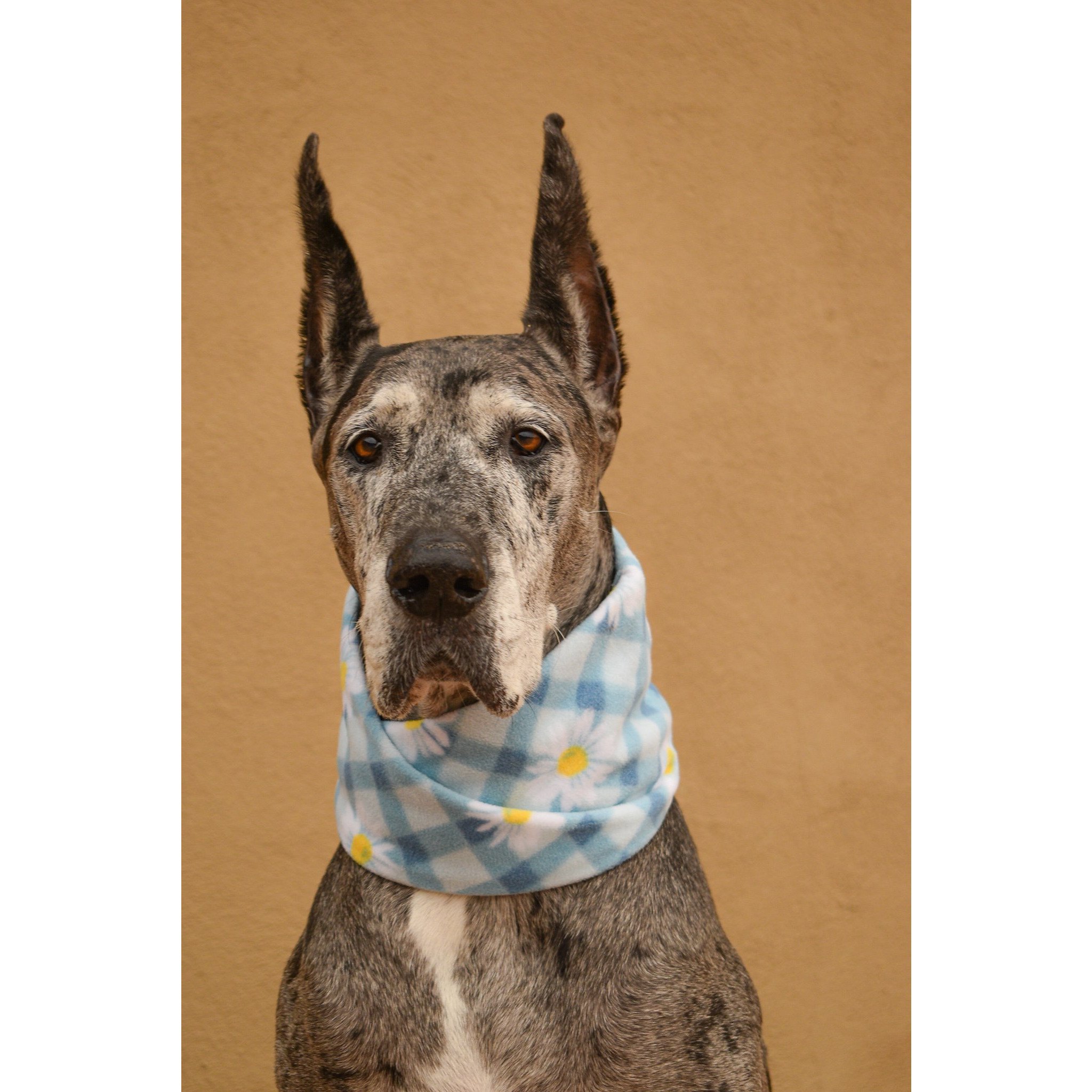 Flower Child Dog Scarf made of cozy fleece fabric, featuring a stylish twisted neck design, perfect for dogs of all sizes.