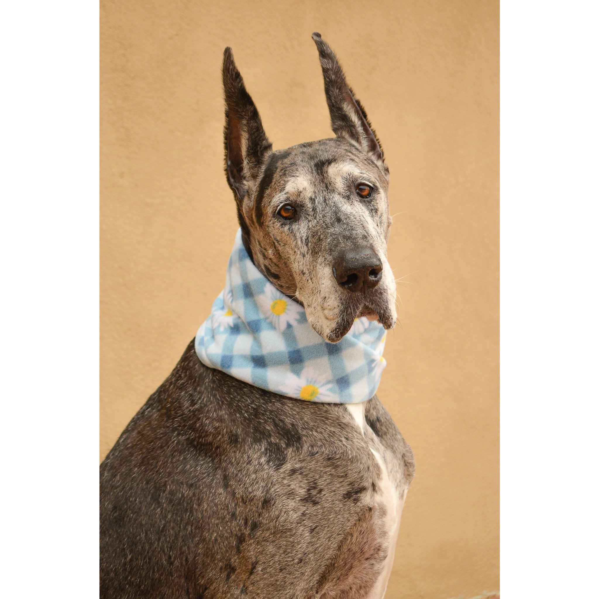 Flower Child Dog Scarf made of cozy fleece fabric, featuring a stylish twisted neck design, perfect for dogs of all sizes.