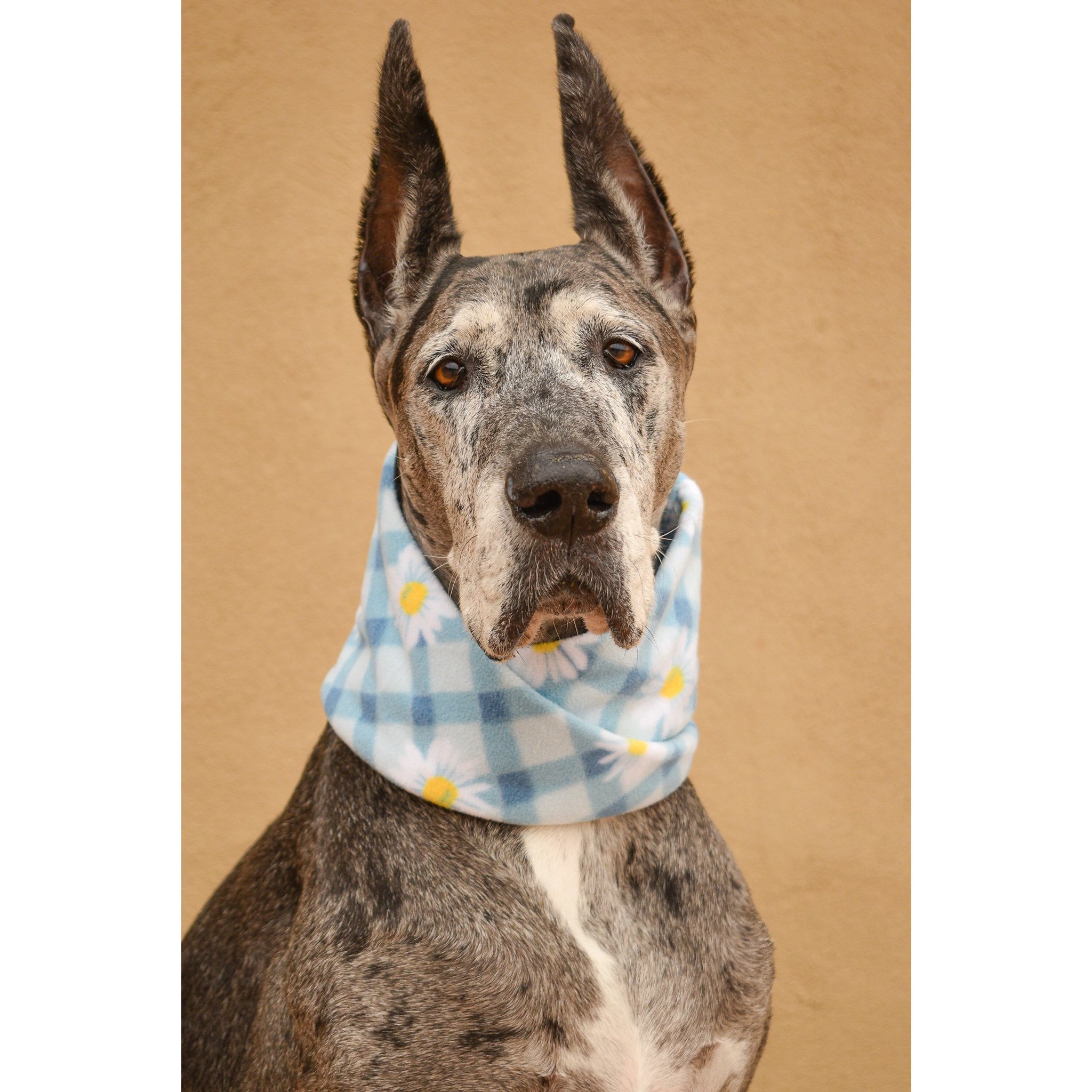 Flower Child Dog Scarf made of cozy fleece fabric, featuring a stylish twisted neck design, perfect for dogs of all sizes.