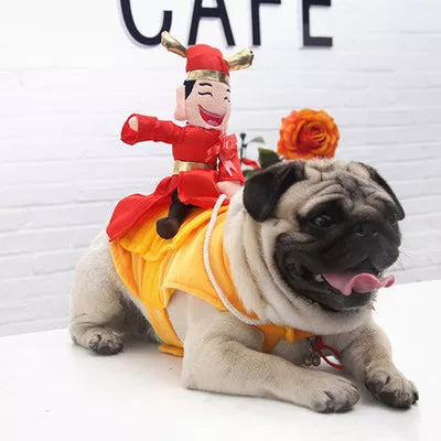 A collection of funny pet outfits in various colors and designs, showcasing their playful and humorous styles.