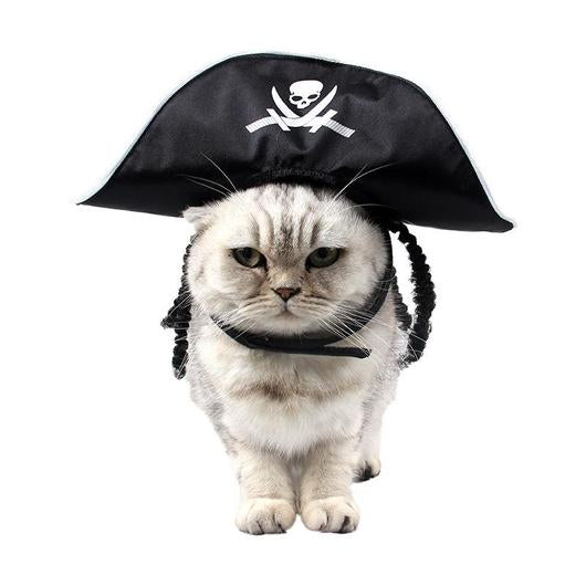 A cute cat wearing a pirate hat, showcasing its playful design and comfortable fit, perfect for Halloween and festive occasions.
