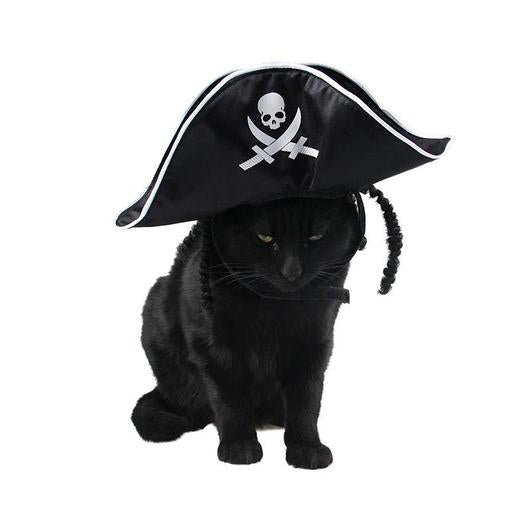 A cute cat wearing a pirate hat, showcasing its playful design and comfortable fit, perfect for Halloween and festive occasions.