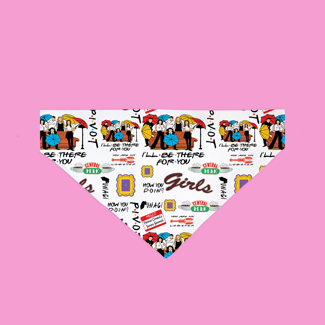 A colorful Furiends Bandana designed for dogs, showcasing its slip-on feature and stylish patterns.