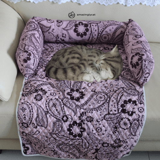 Furniture Saver Comfy Cat Bed in a cozy setting, designed to protect furniture while providing comfort for cats.