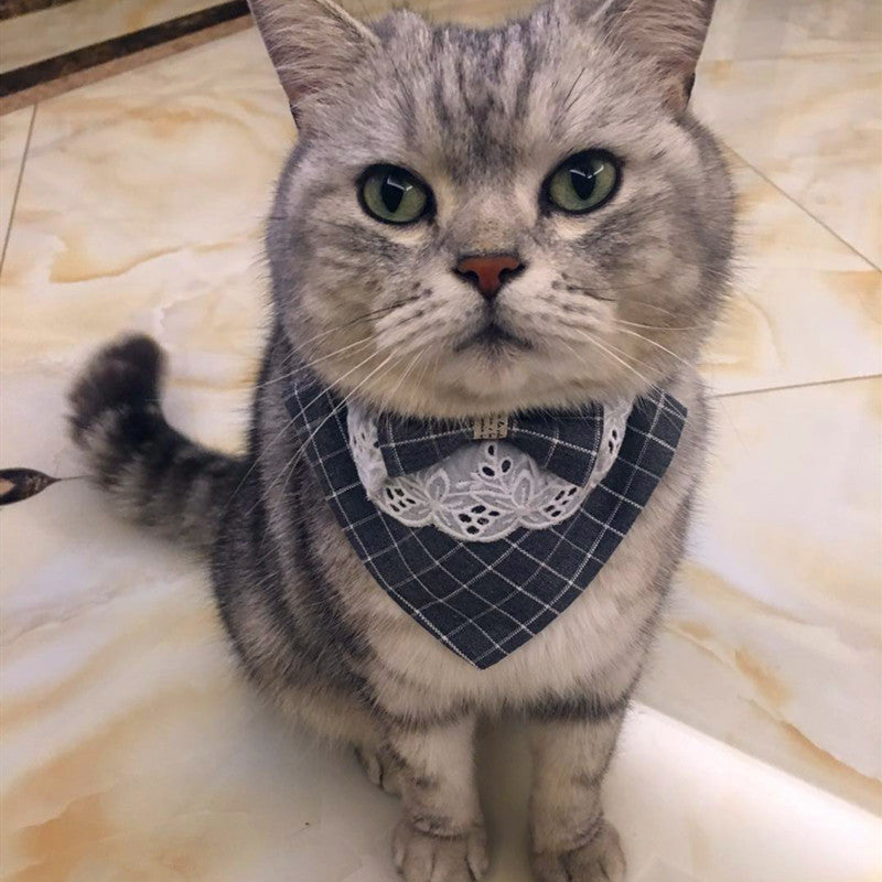 A stylish cat wearing a Gentle Bib, showcasing its high-quality fabric and elegant design, perfect for special occasions.