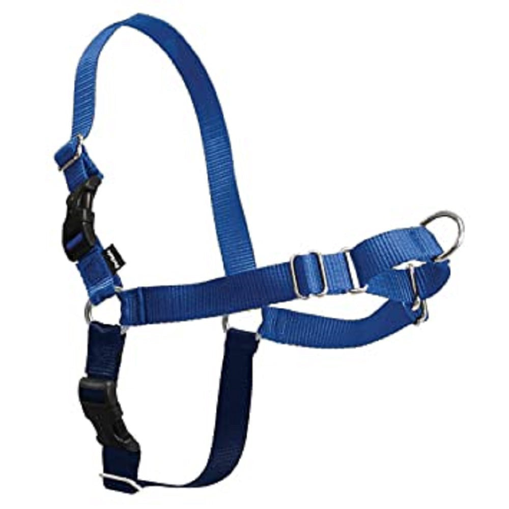 Gentle Leader Easy Walk Harness in various colors, showcasing its design and features.