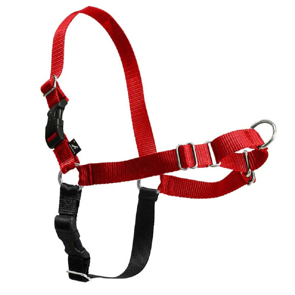 Gentle Leader Easy Walk Harness in various colors, showcasing its design and features.