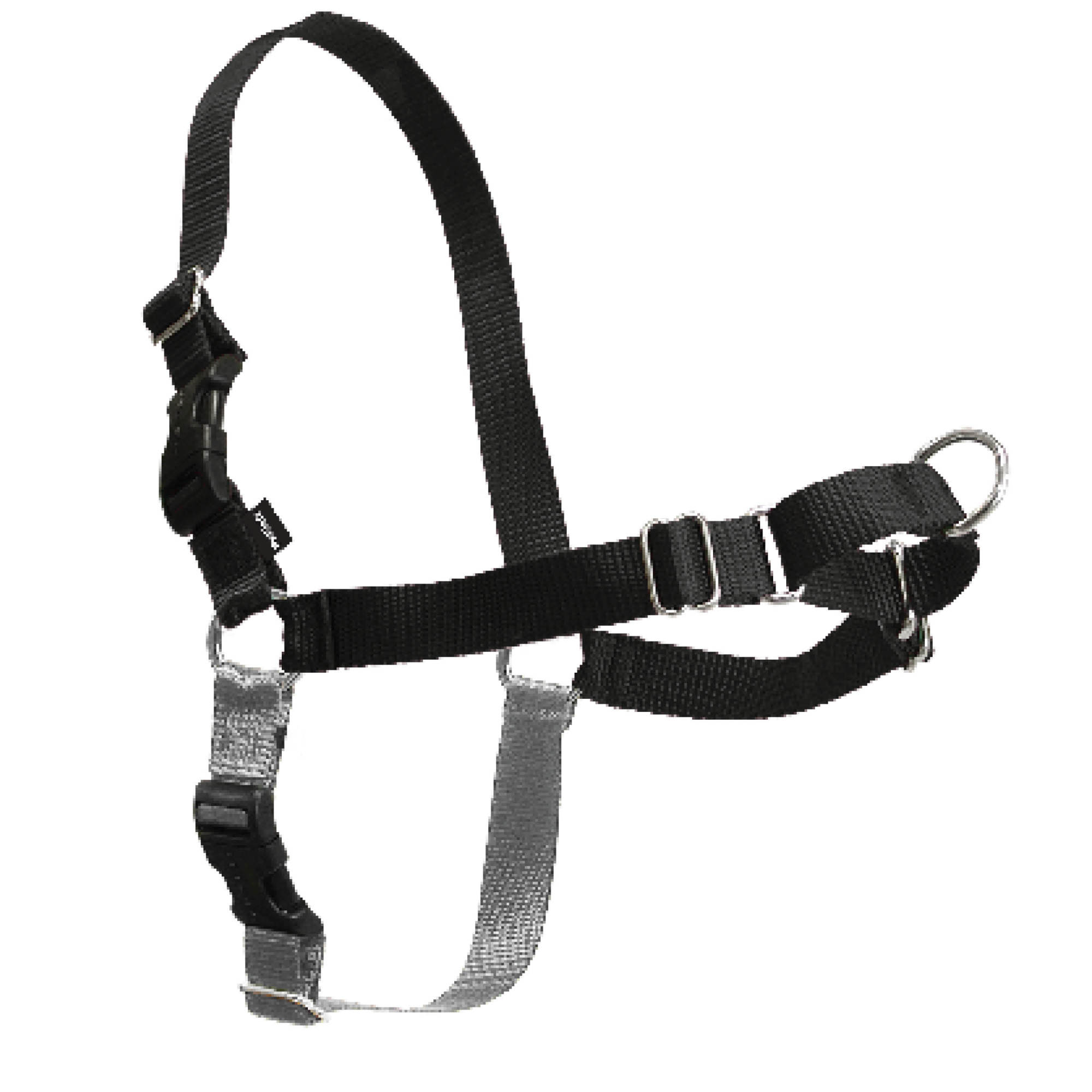 Gentle Leader Easy Walk Harness in various colors, showcasing its design and features.
