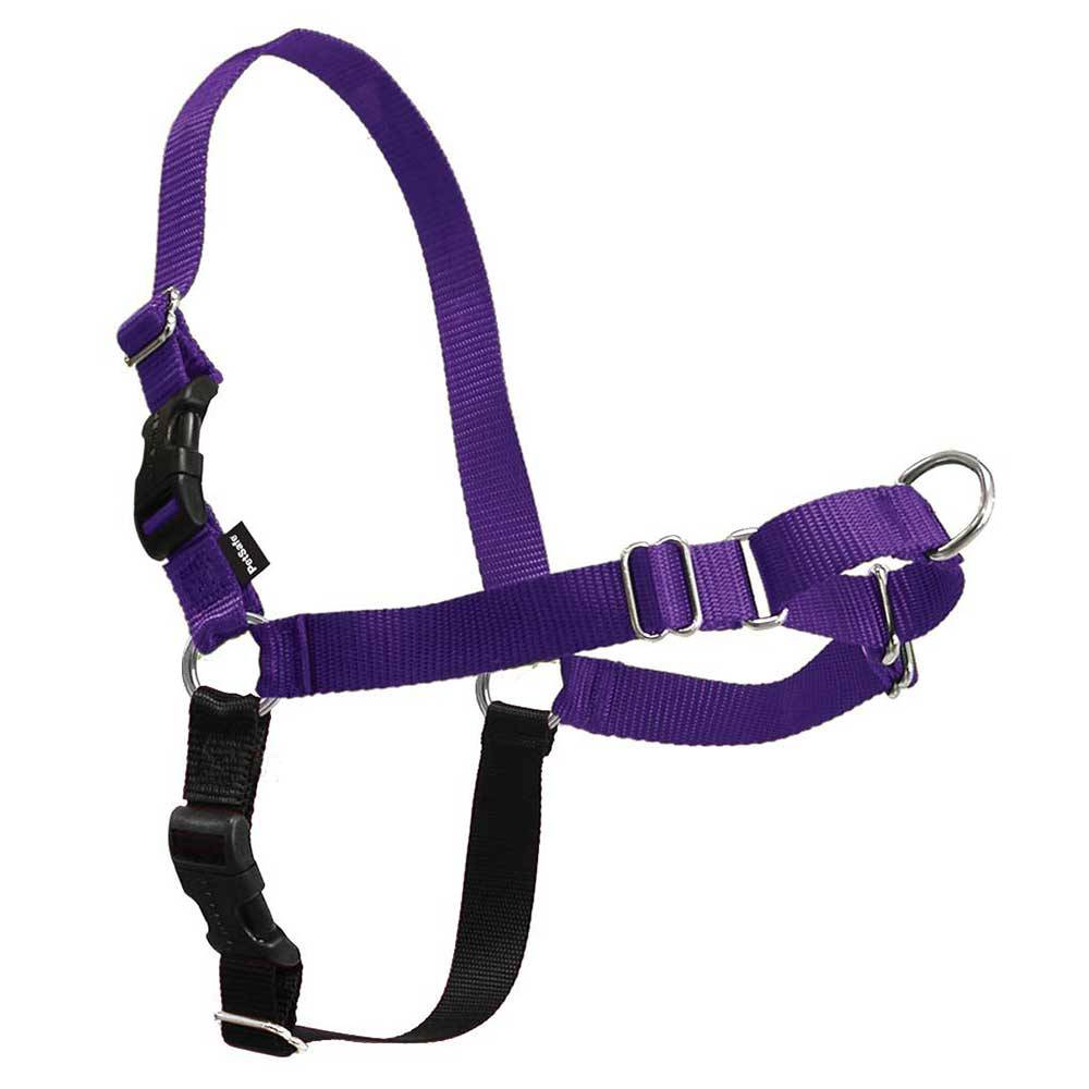 Gentle Leader Easy Walk Harness in various colors, showcasing its design and features.