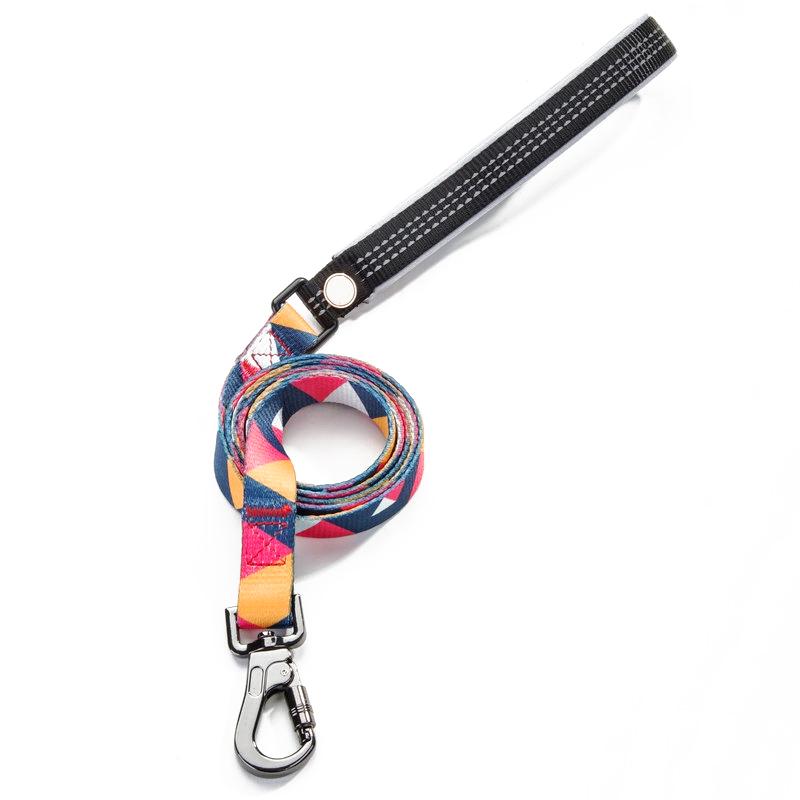 Stylish geometric collar, lead, and harness set for dogs in vibrant colors, showcasing premium materials and design.