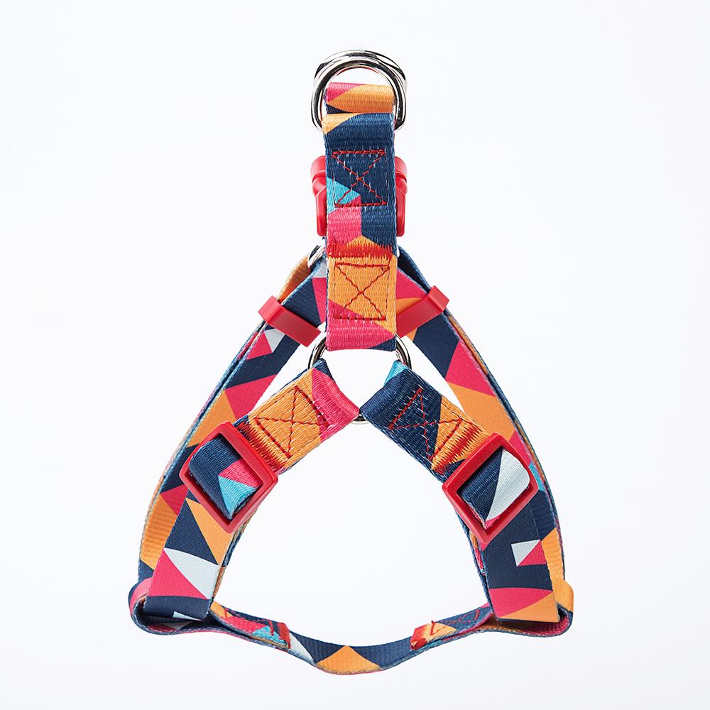 Stylish geometric collar, lead, and harness set for dogs in vibrant colors, showcasing premium materials and design.