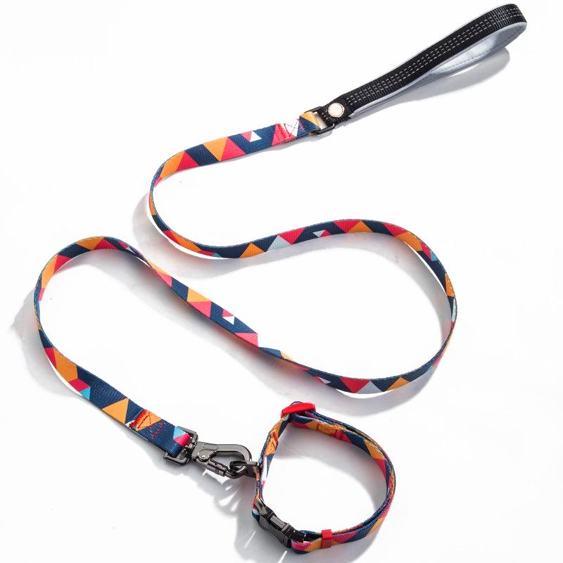 Stylish geometric collar, lead, and harness set for dogs in vibrant colors, showcasing premium materials and design.