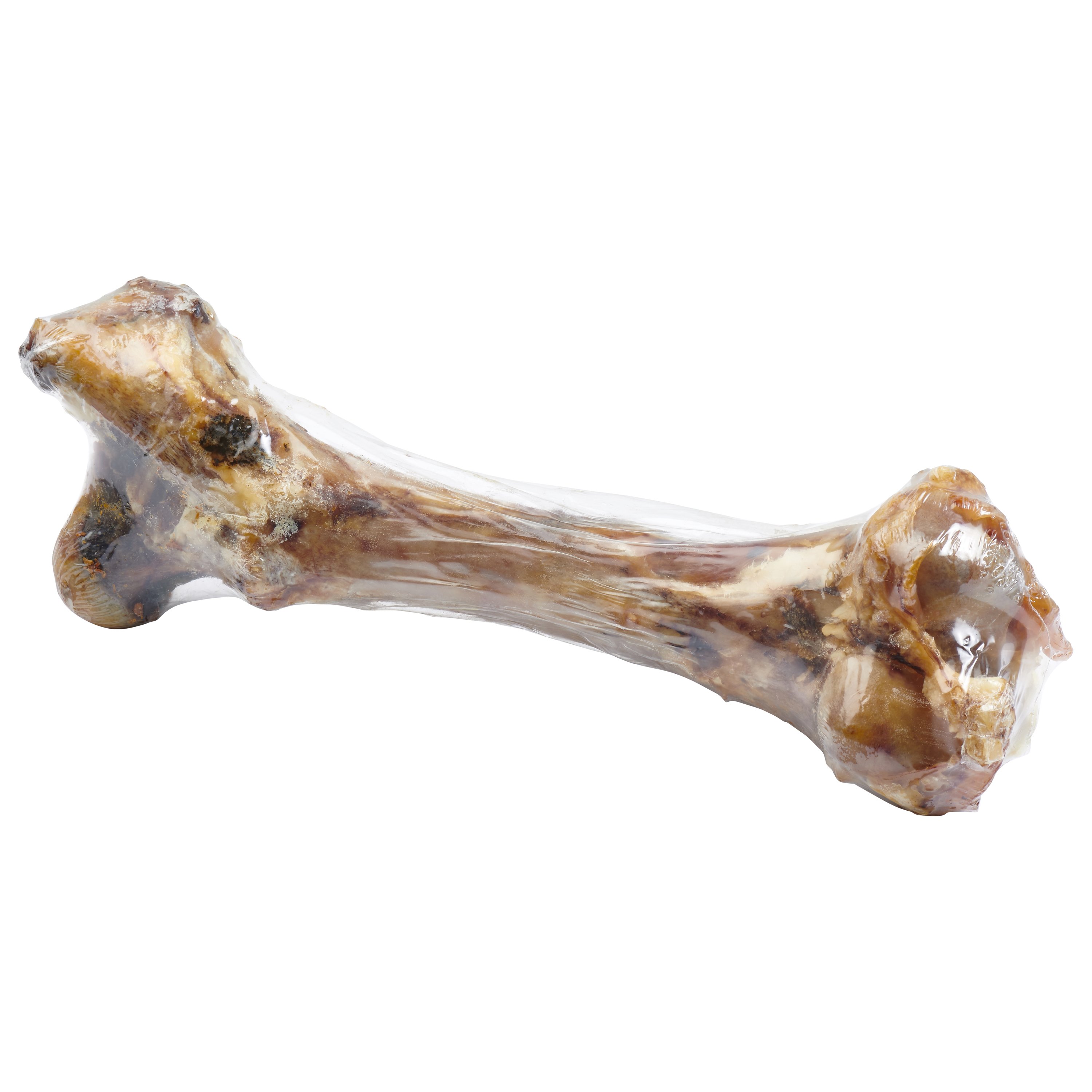 Giant grass-fed beef femur bone for large dogs, featuring two large knuckles and pieces of tendon and meat, perfect for chewing.