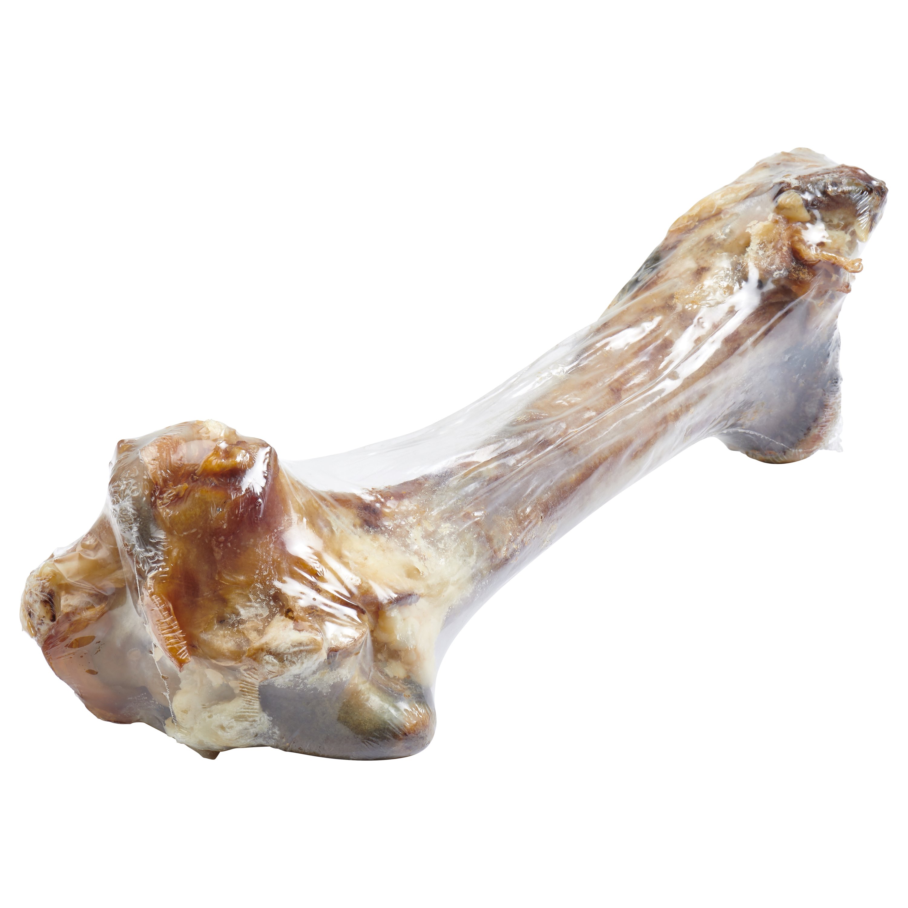 Giant grass-fed beef femur bone for large dogs, featuring two large knuckles and pieces of tendon and meat, perfect for chewing.