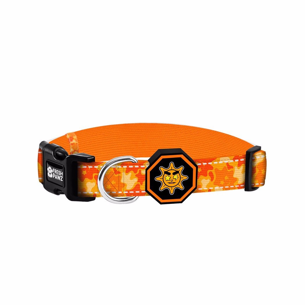 Glo Gang x Fresh Pawz collar featuring vibrant colors and stylish design, perfect for pets of Chief Keef fans.