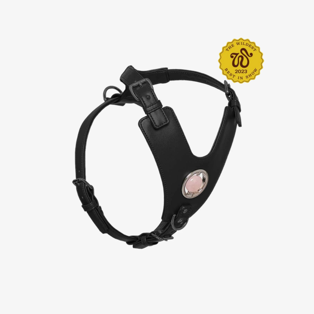 Good Vibration Dog Harness in black with silver crystal grommet and black matte hardware, showcasing a modern and stylish design.