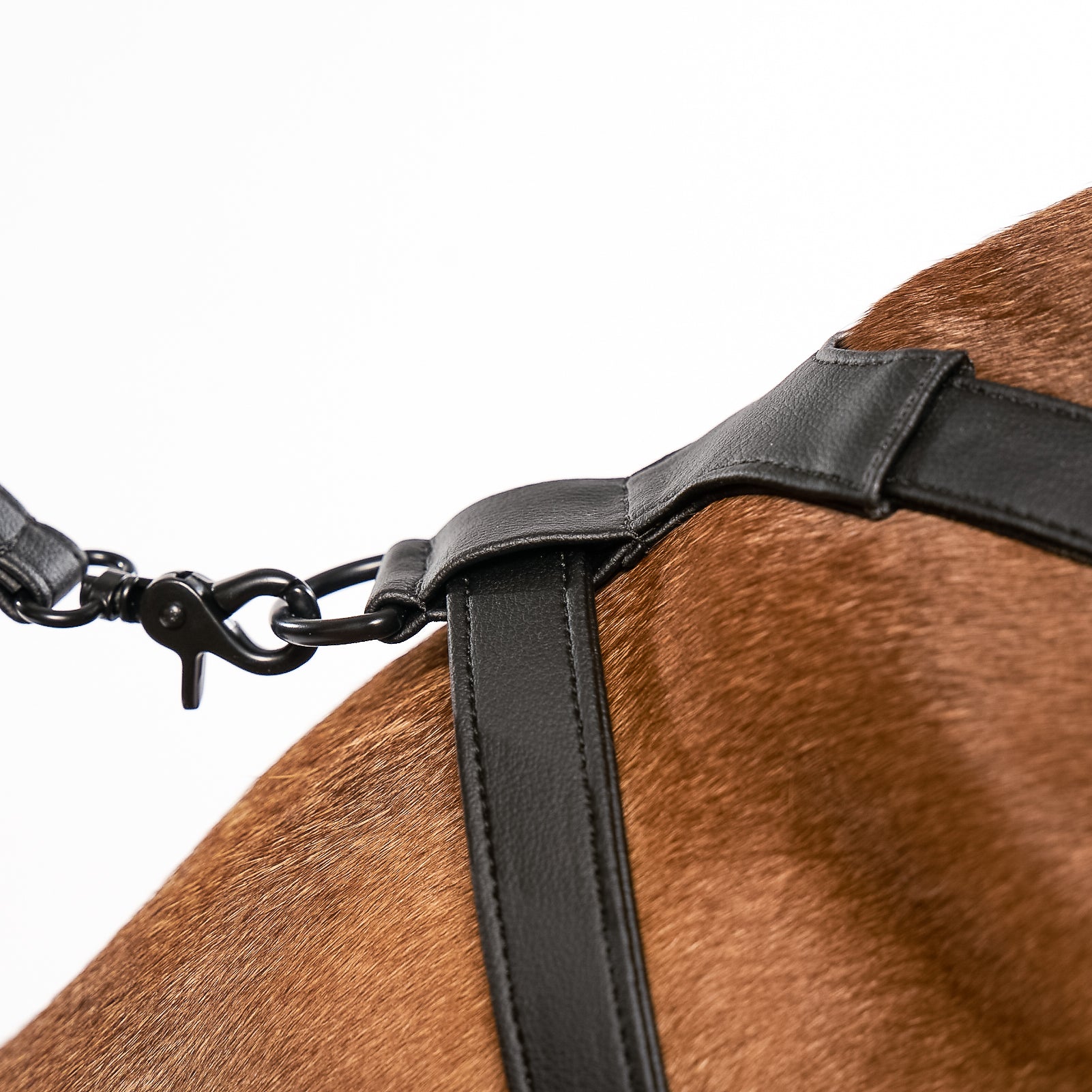 Good Vibration Dog Harness in black with silver crystal grommet and black matte hardware, showcasing a modern and stylish design.