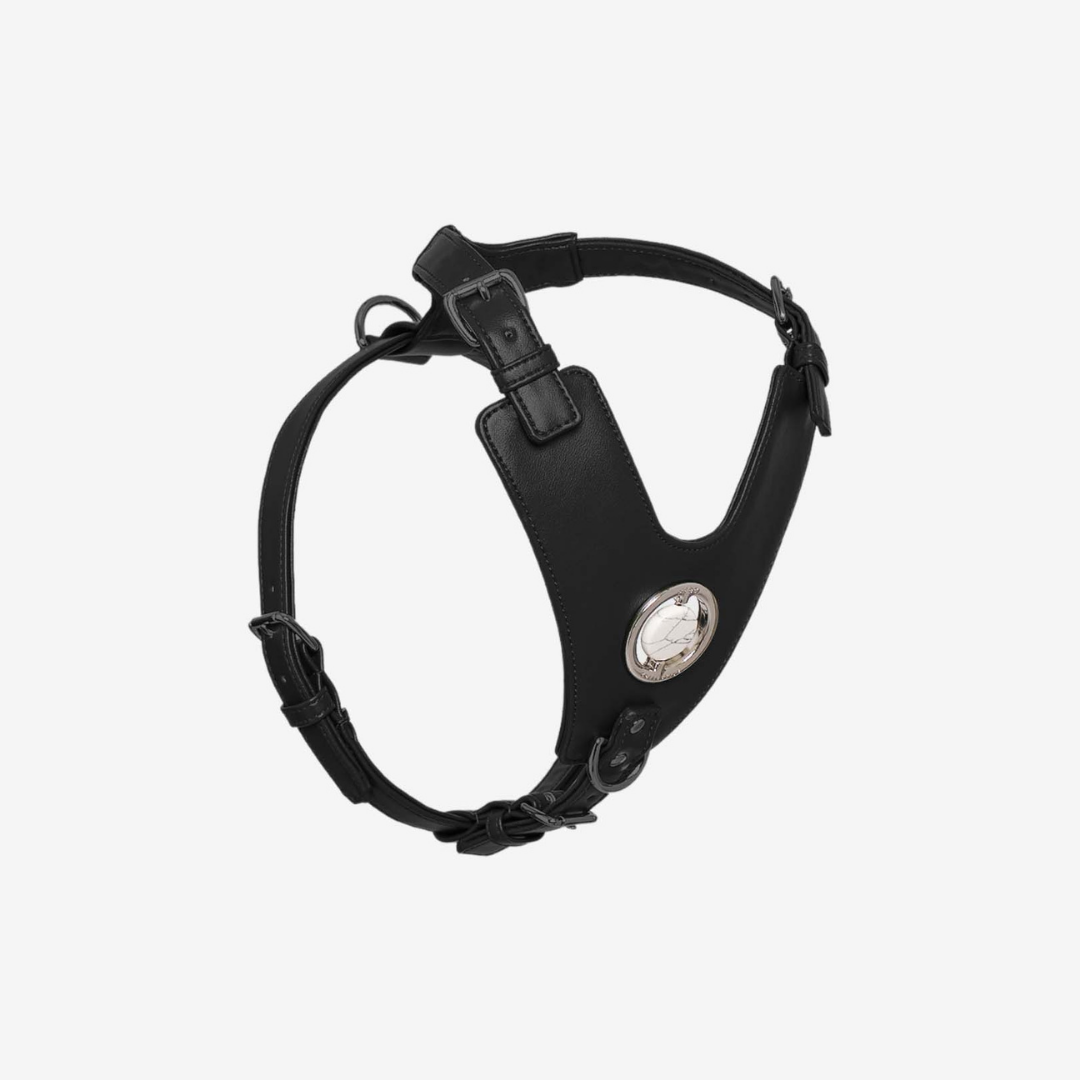Good Vibration Dog Harness in black with silver crystal grommet and black matte hardware, showcasing a modern and stylish design.