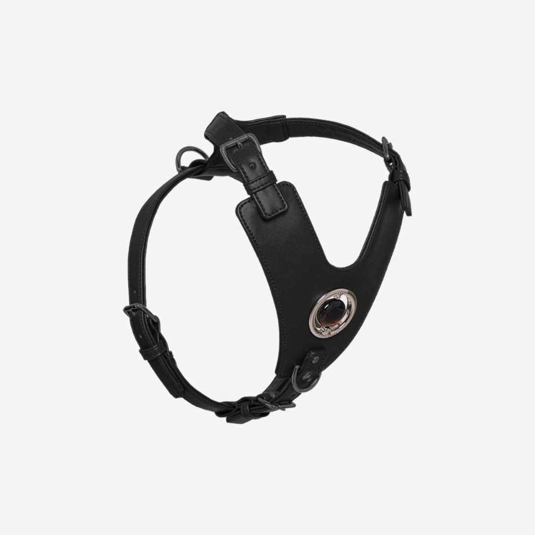 Good Vibration Dog Harness in black with silver crystal grommet and black matte hardware, showcasing a modern and stylish design.