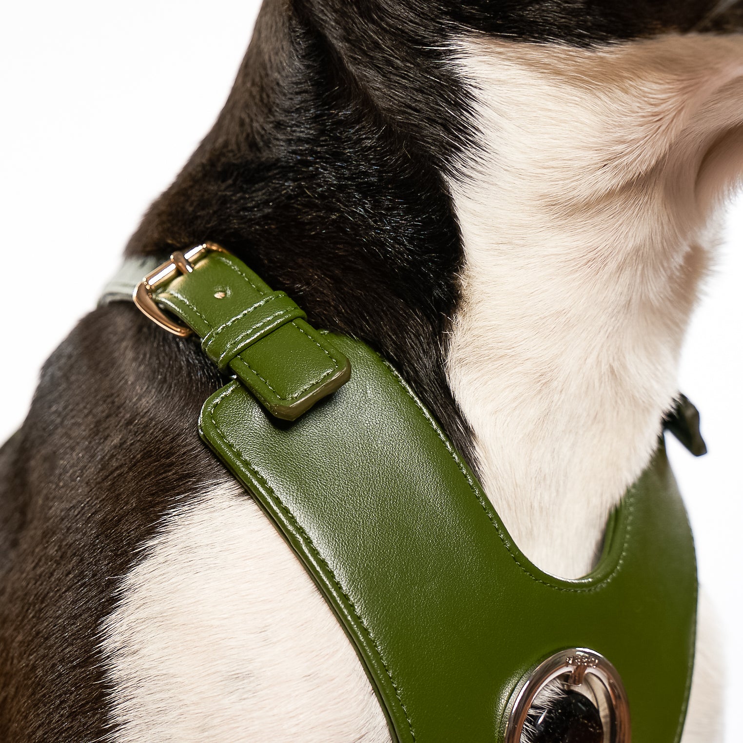 Good Vibration Dog Harness in Nopal Green featuring a crystal grommet and gold hardware, designed for comfort and style.