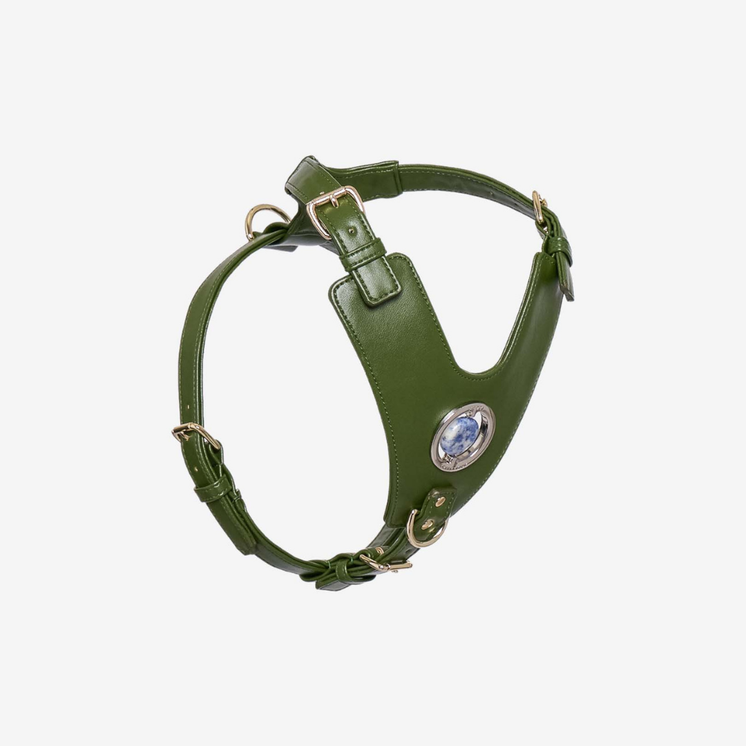 Good Vibration Dog Harness in Nopal Green featuring a crystal grommet and gold hardware, designed for comfort and style.