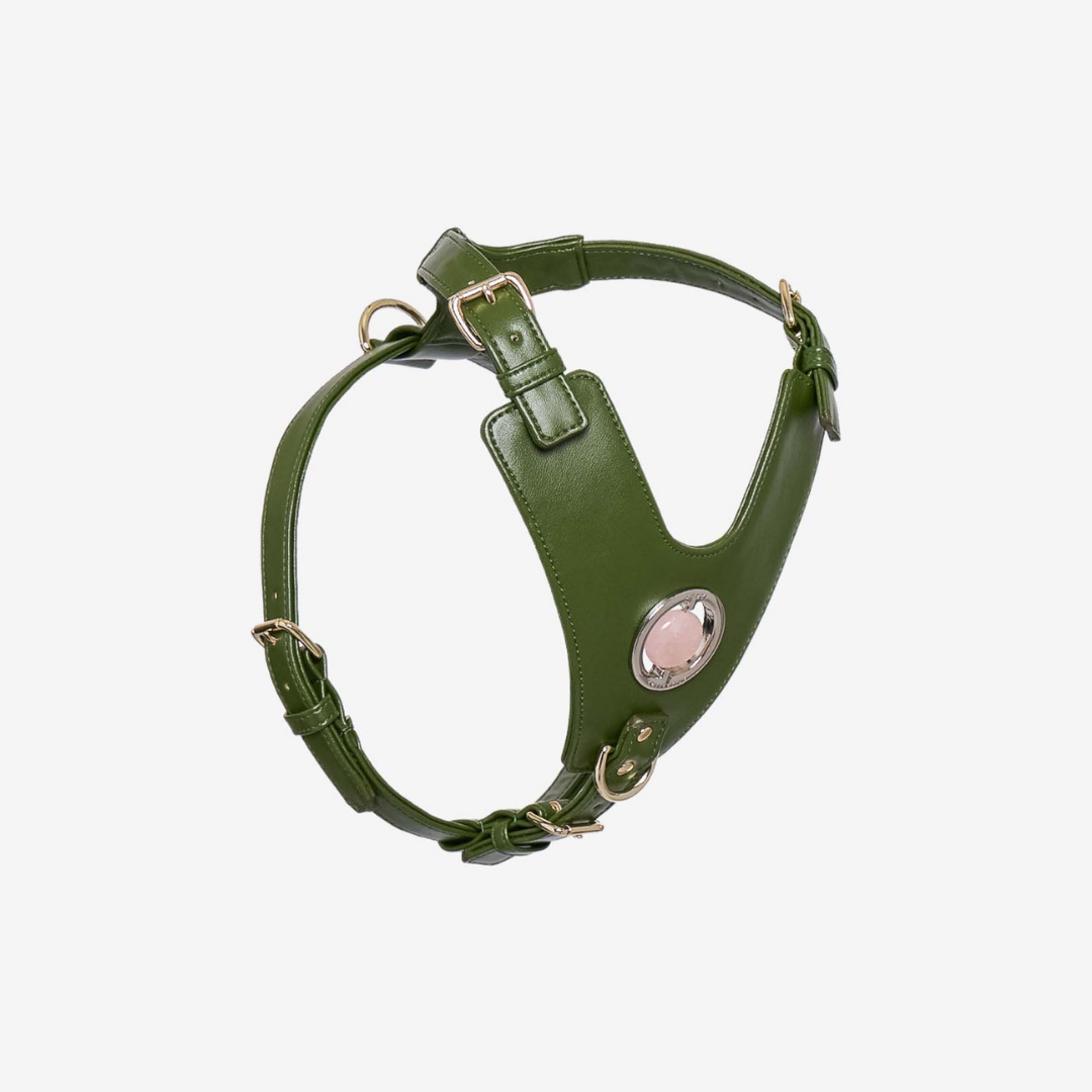 Good Vibration Dog Harness in Nopal Green featuring a crystal grommet and gold hardware, designed for comfort and style.