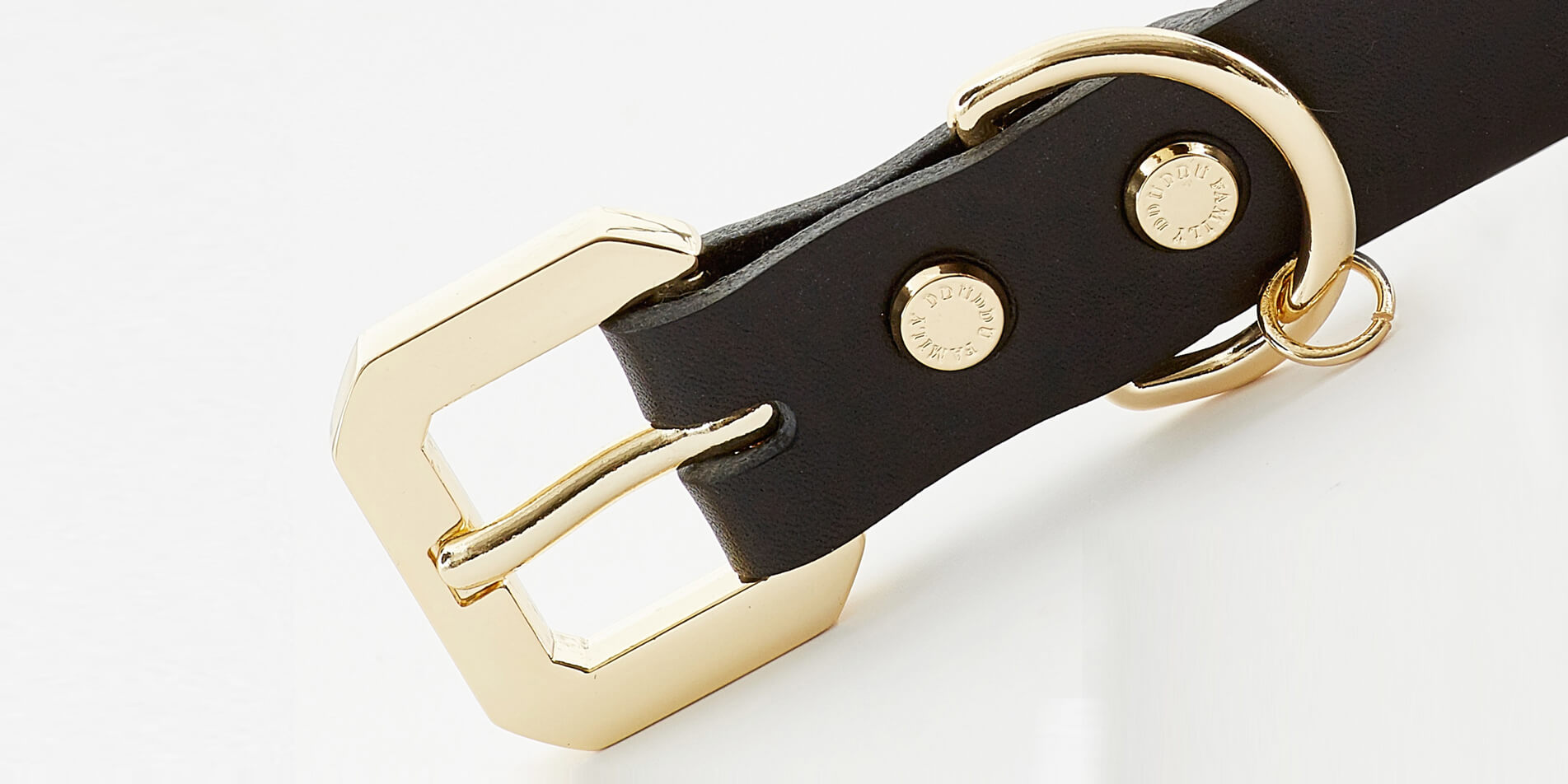 Golden Spike Black Collar made from thick vegetable-tanned leather with gold studs, showcasing its luxurious design and craftsmanship.