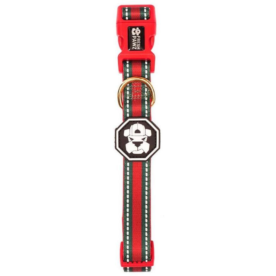 Vibrant G-Stripe Collar for dogs featuring neoprene padding and a secure D-ring, designed for comfort and style.