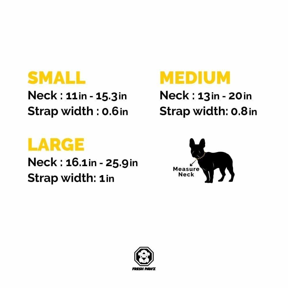 Vibrant G-Stripe Collar for dogs featuring neoprene padding and a secure D-ring, designed for comfort and style.