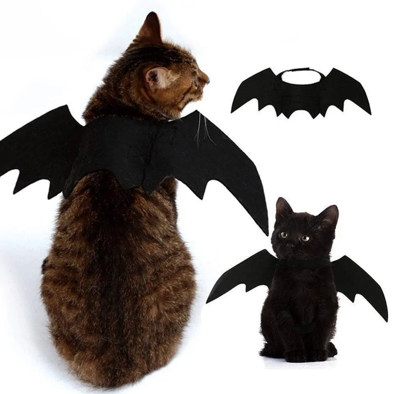 Small pet cat wearing adorable black bat wings costume for Halloween, showcasing a whimsical and spooky look.