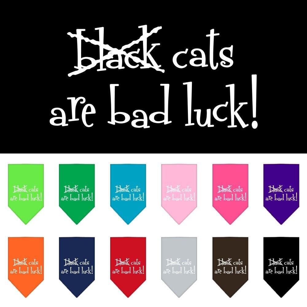 Halloween dog bandana featuring the phrase 'Black Cats are Bad Luck', designed for pets to wear during Halloween festivities.